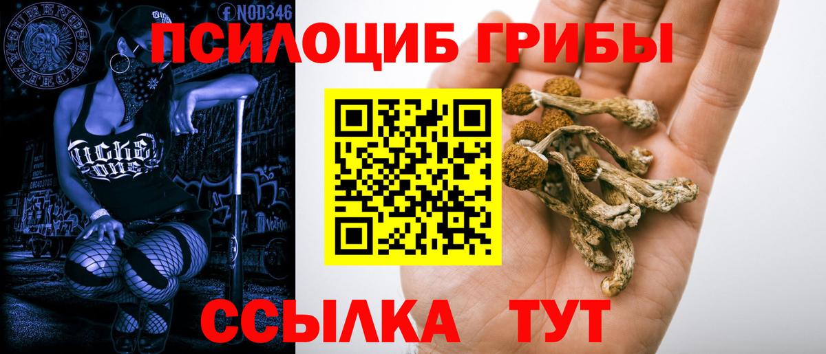 Кириши  Галлюциногенные грибы Magic Shrooms  Вход с VPN  Псилоцибиновые грибы GOLDEN TEACHER 